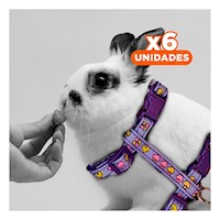 Pack6 Sistema Seguro para Conejo y Gato Delgado en Lila Y+Papel Regalo